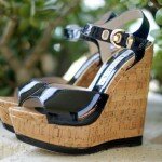 Barachini wedges